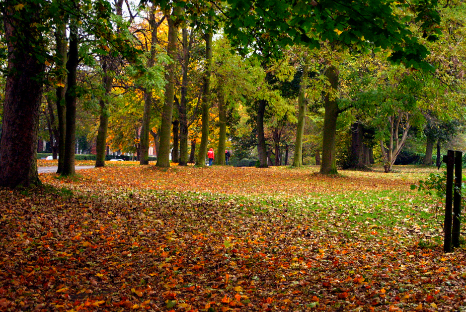 Hyde Park, Leeds